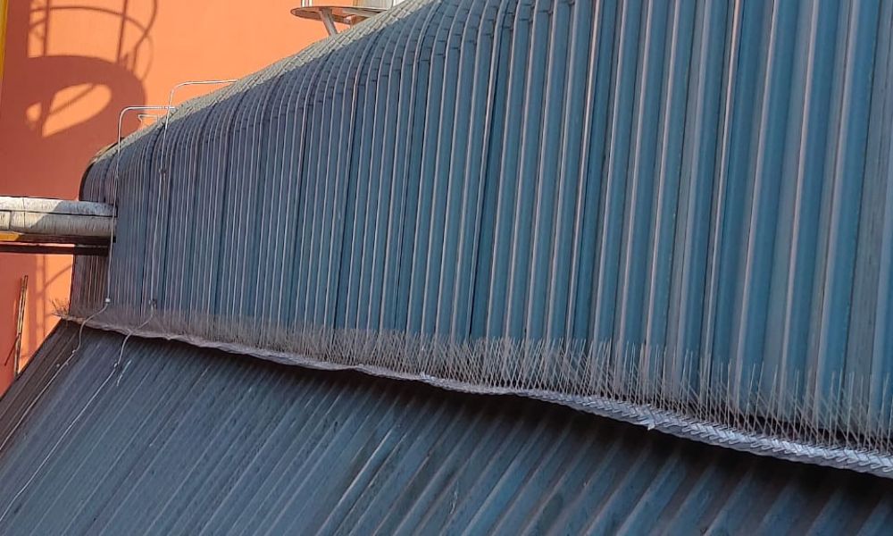 Bird and Pigeon Spikes in Varthur