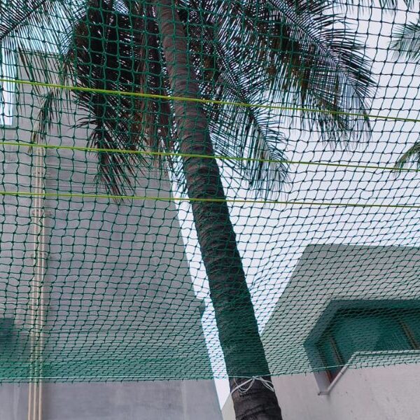 Coconut Tree Safety Nets in Varthur